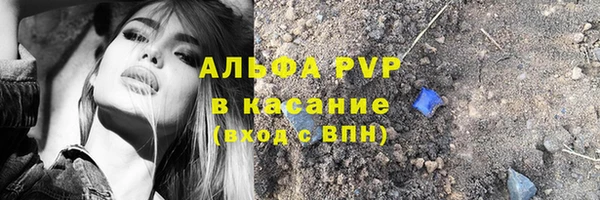 стаф Алзамай