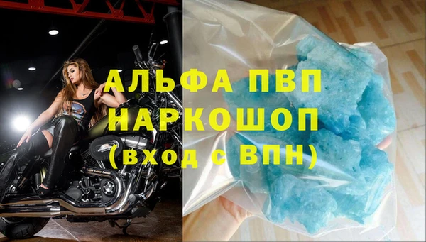 стаф Алзамай
