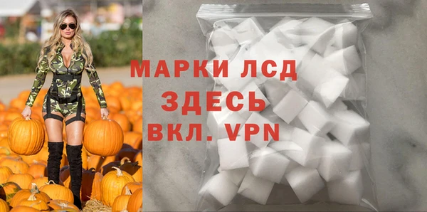стаф Алзамай